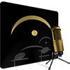 seemusiciconpro100x100